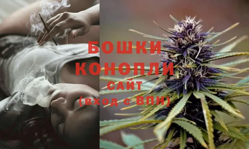 Шишки марихуана THC 21%  как найти   Адыгейск 